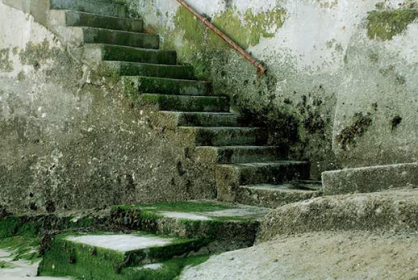 taking the right steps