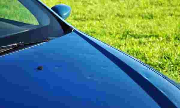 Small dents on the hood of a vehicle. 